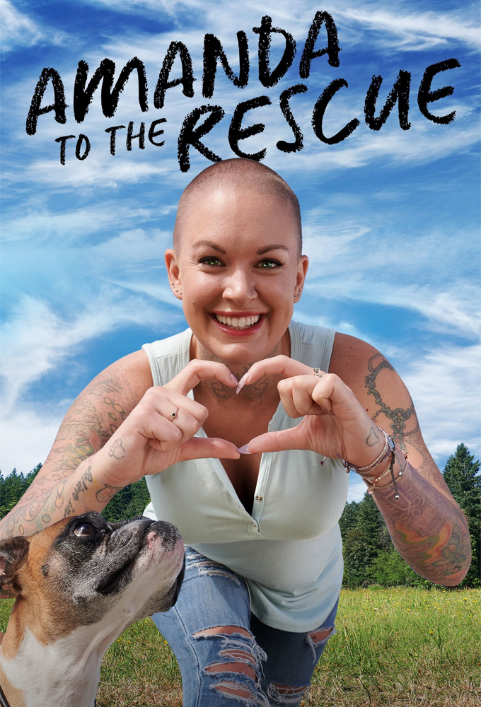 Amanda to the Rescue series poster
