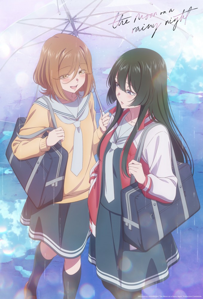 The Moon on a Rainy Night Image