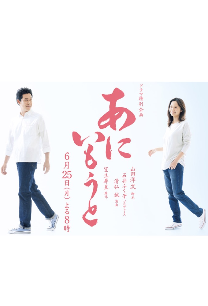 Brother and Sister series poster