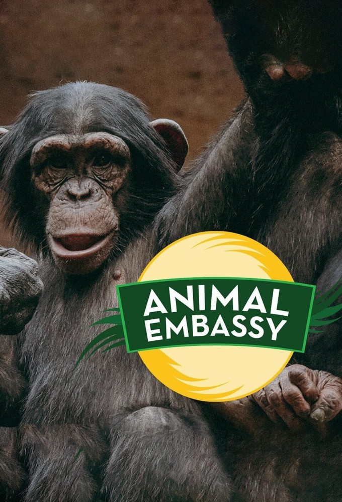 Animal Embassy Image