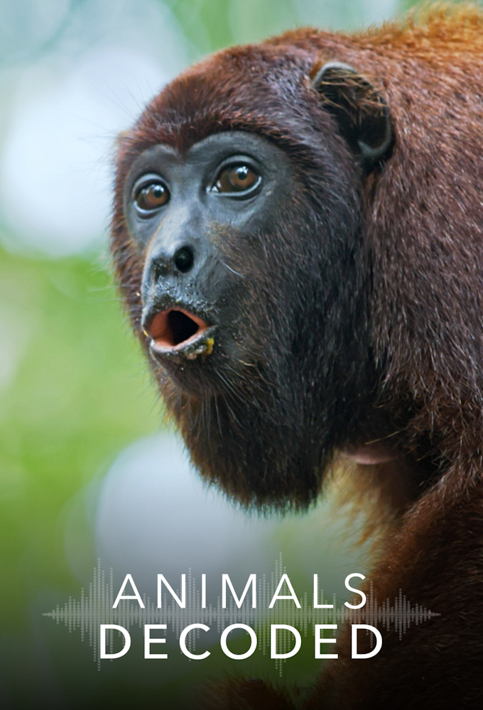 Animals Decoded series poster