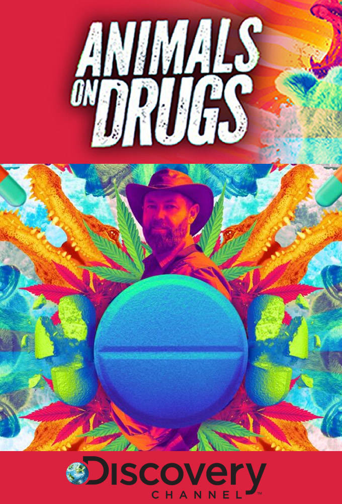Animals On Drugs Image