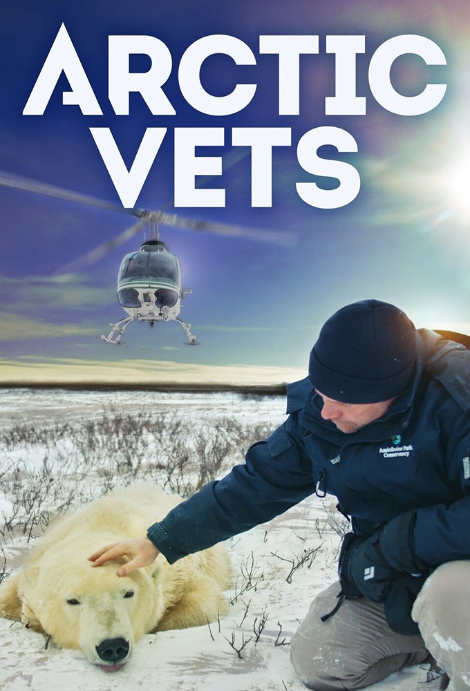Arctic Vets series poster