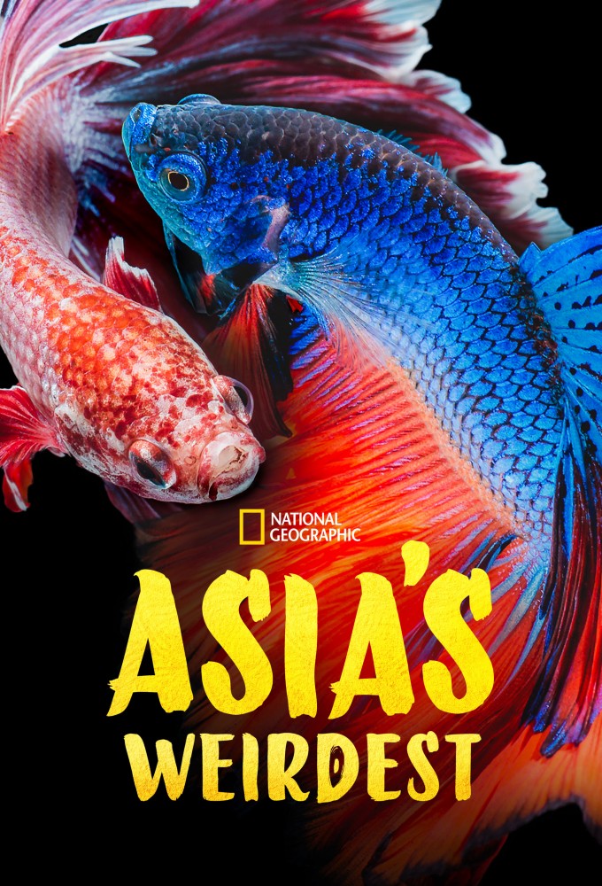Asia's Weirdest Image