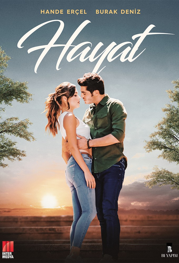 Love Doesn't Understand Words series poster