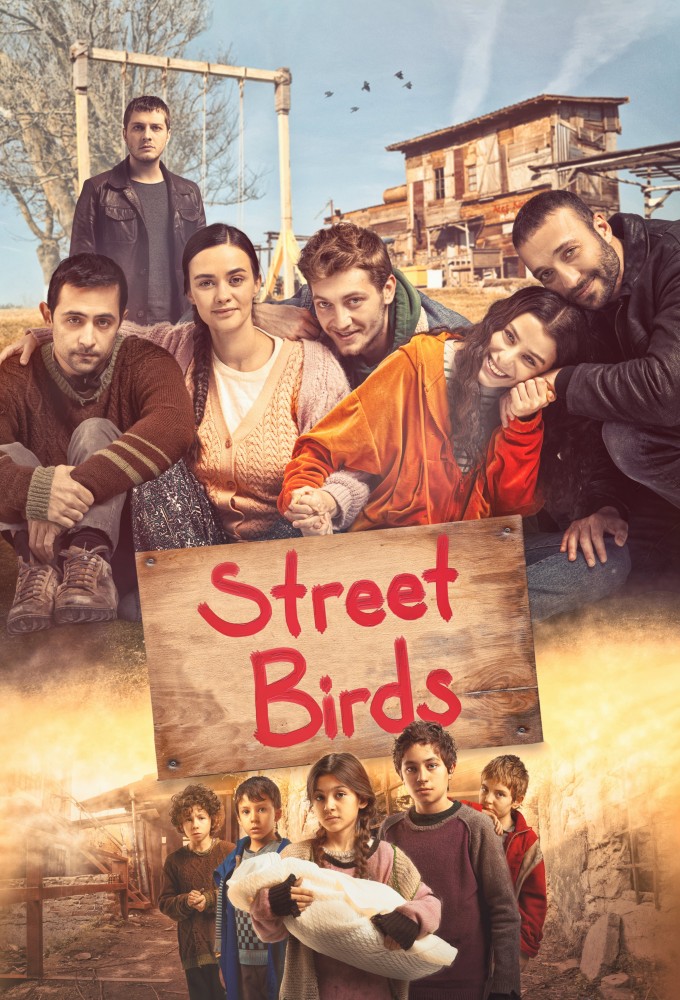 Street Birds series poster