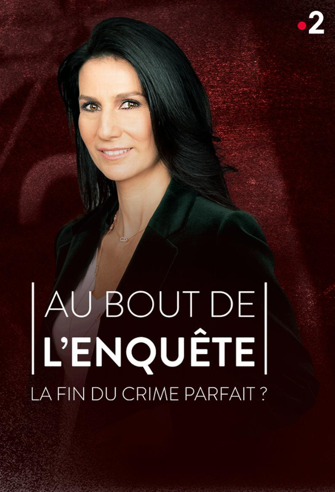 Deep investigation, the end of the perfect crime? series poster