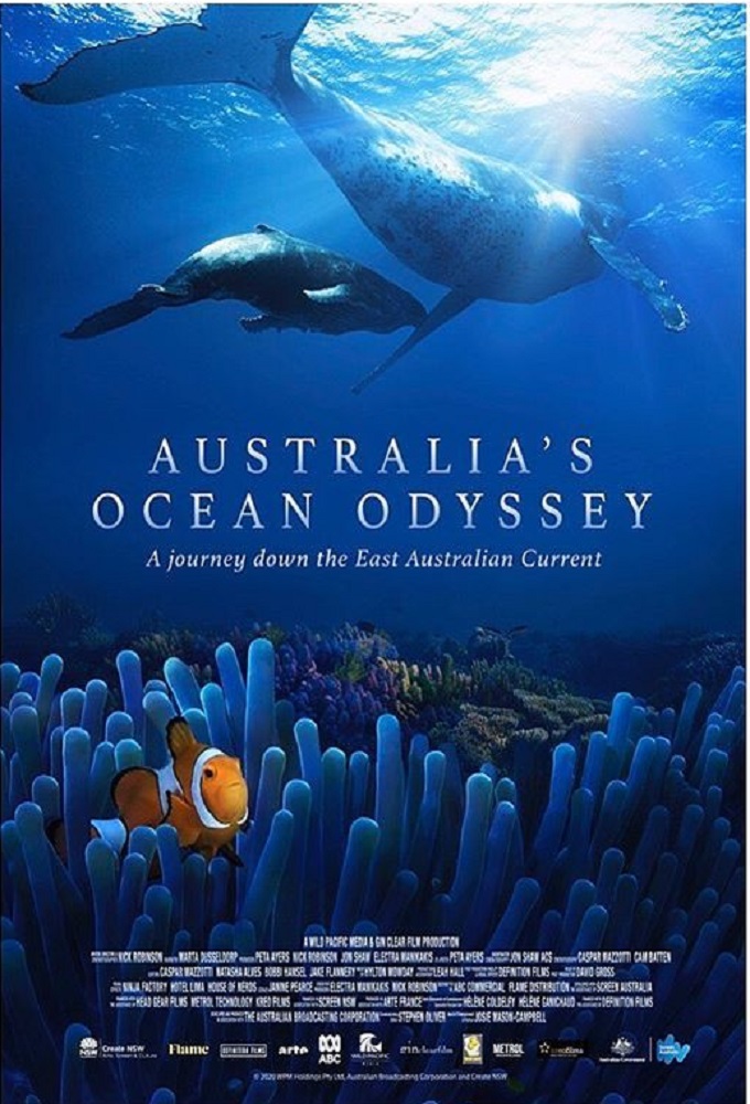 Australia's Ocean Odyssey: A Journey Down The East Australian Current Image