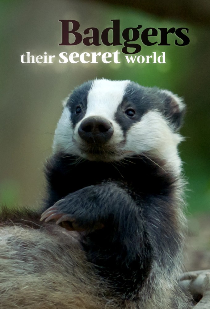 Badgers: Their Secret World Image