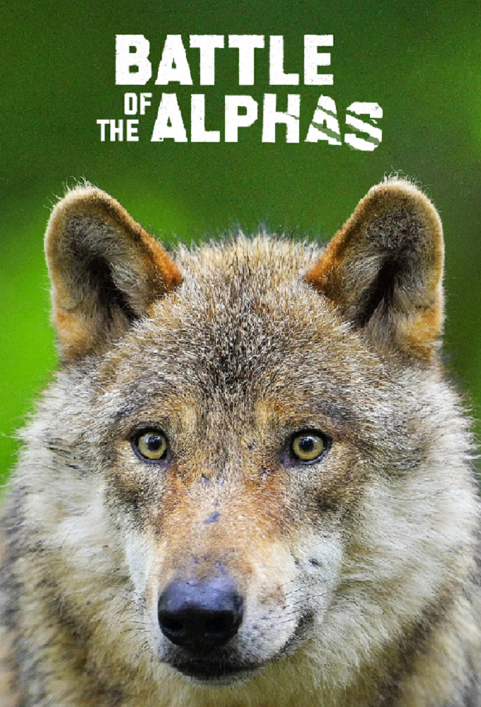 Battle of the Alphas series poster