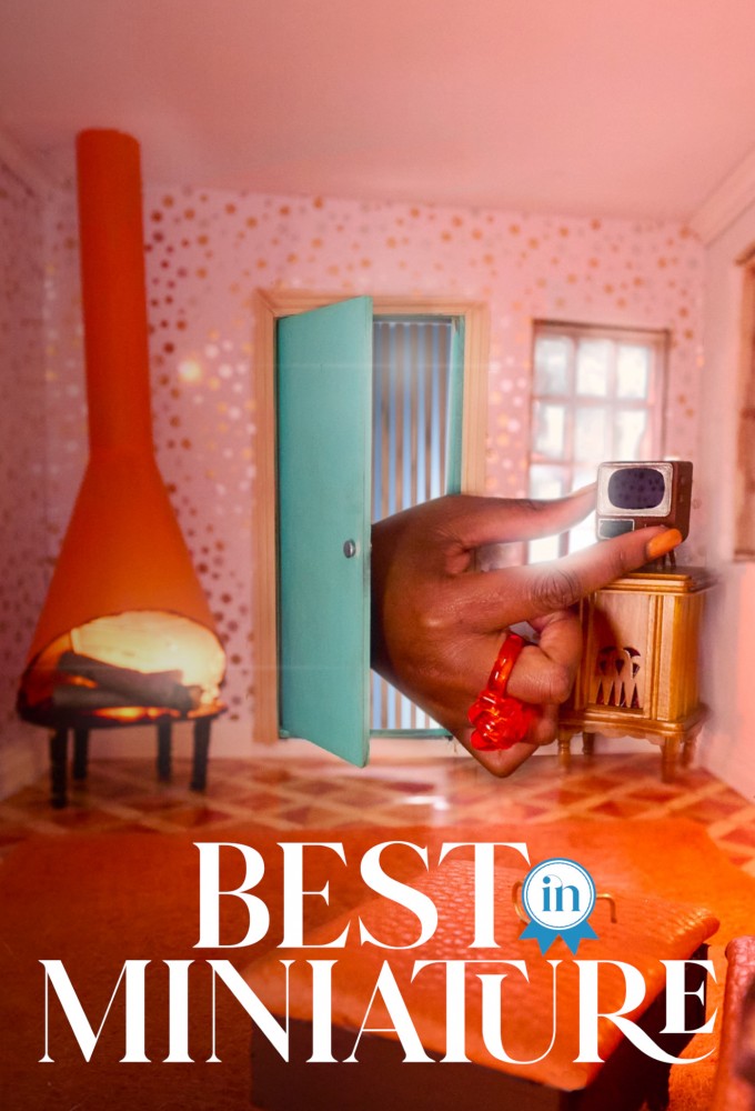 Best in Miniature series poster