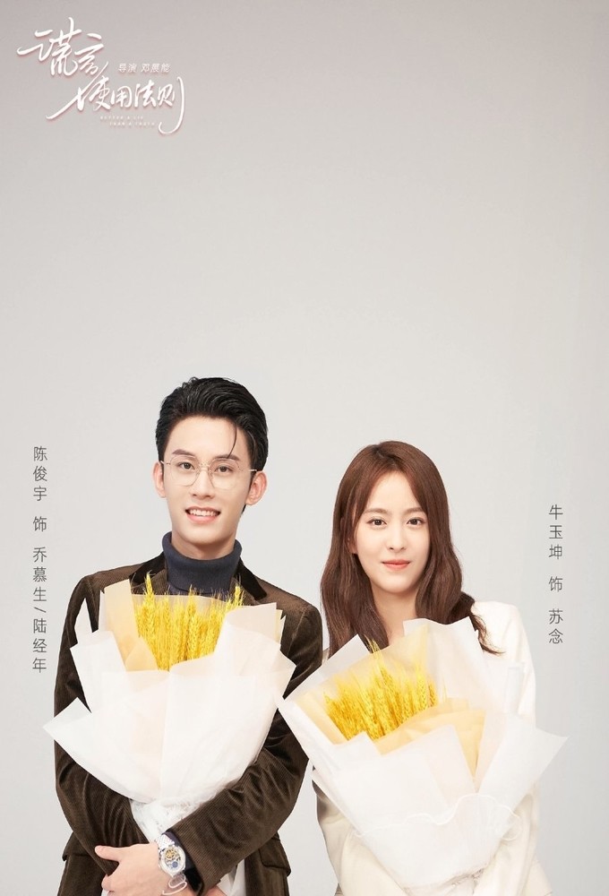 The Law of Lies series poster