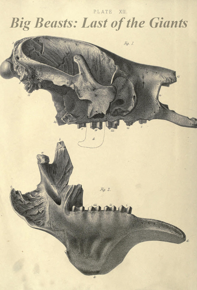 Big Beasts: Last of the Giants season 1 on Sky One