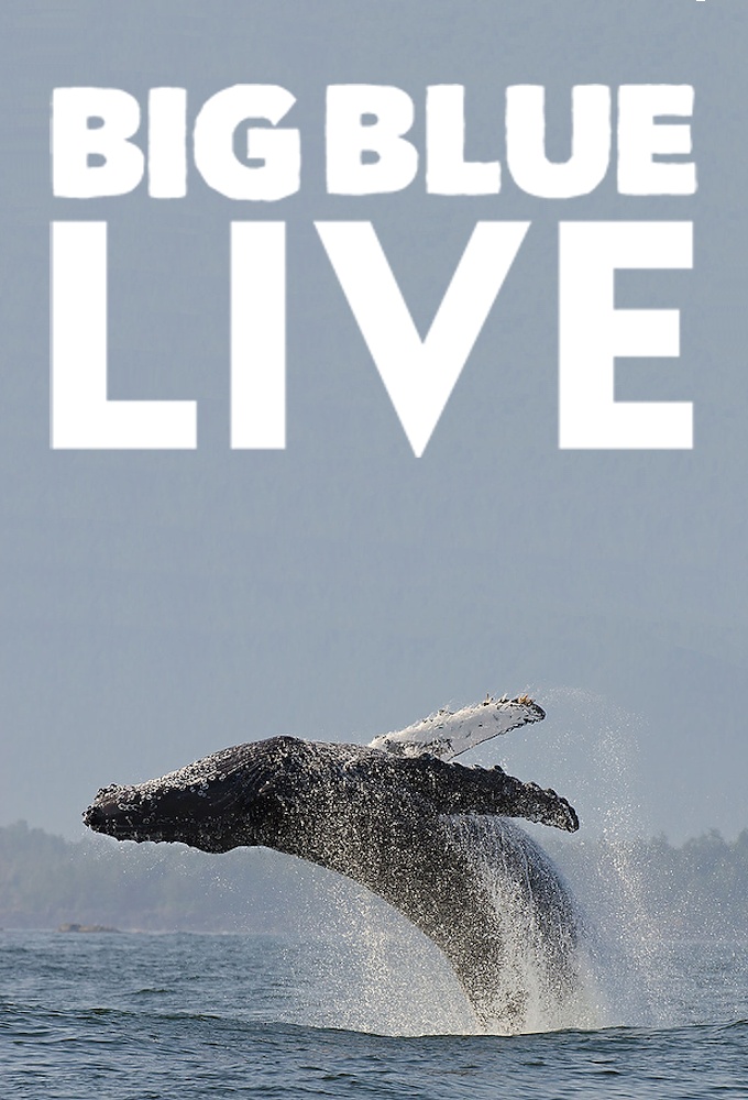 Big Blue Live series poster