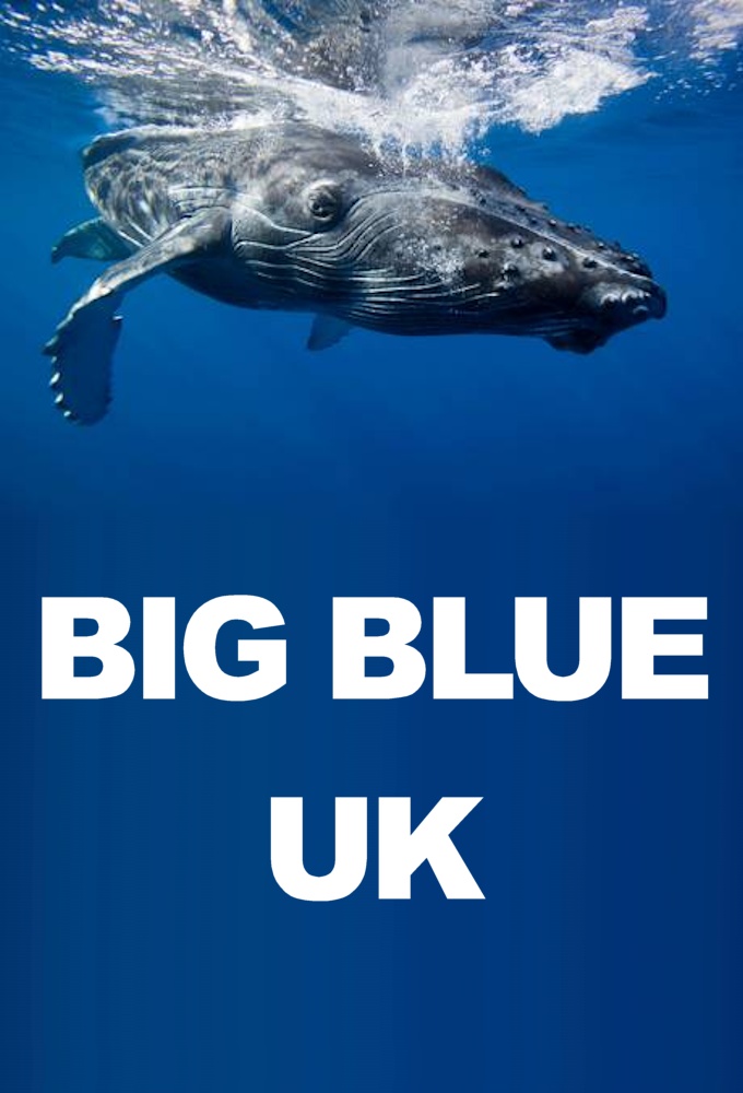 Big Blue UK series poster