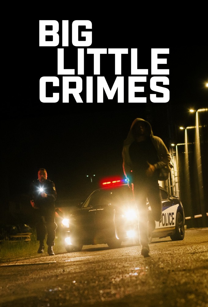 Big Little Crimes Image