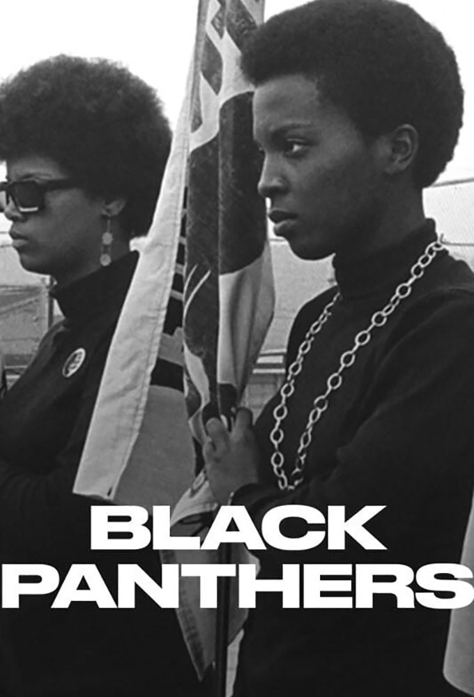 Black Panthers series poster