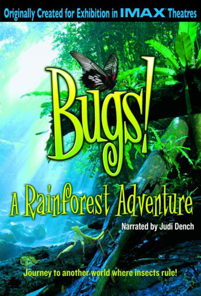 Bugs! A Rainforest Adventure series poster