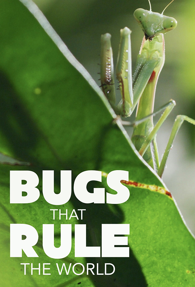 Bugs That Rule the World Image