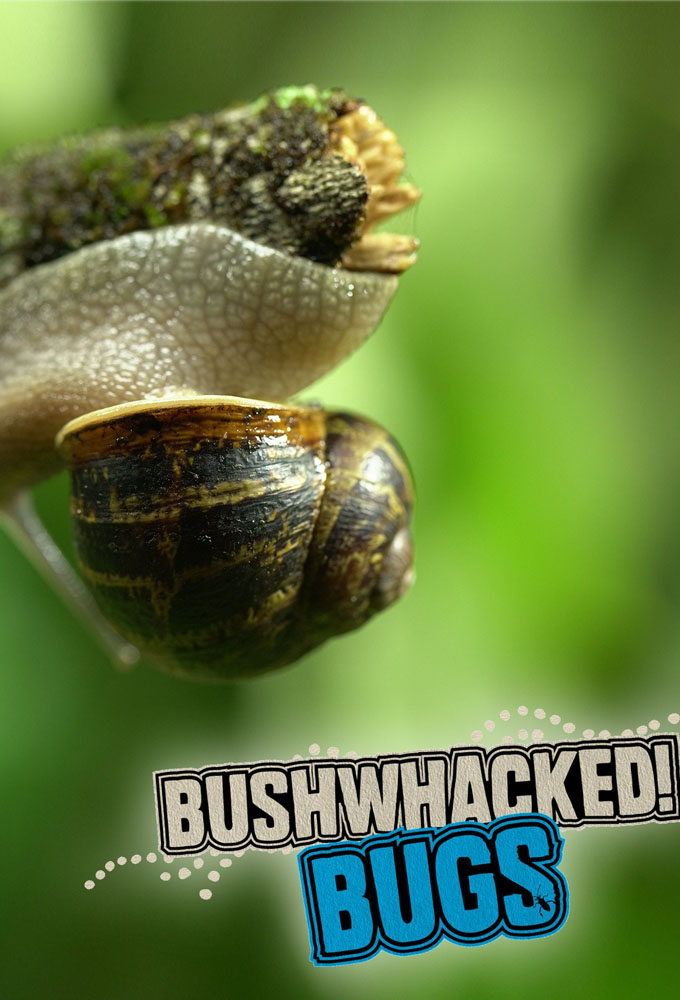 Bushwhacked! Bugs Image