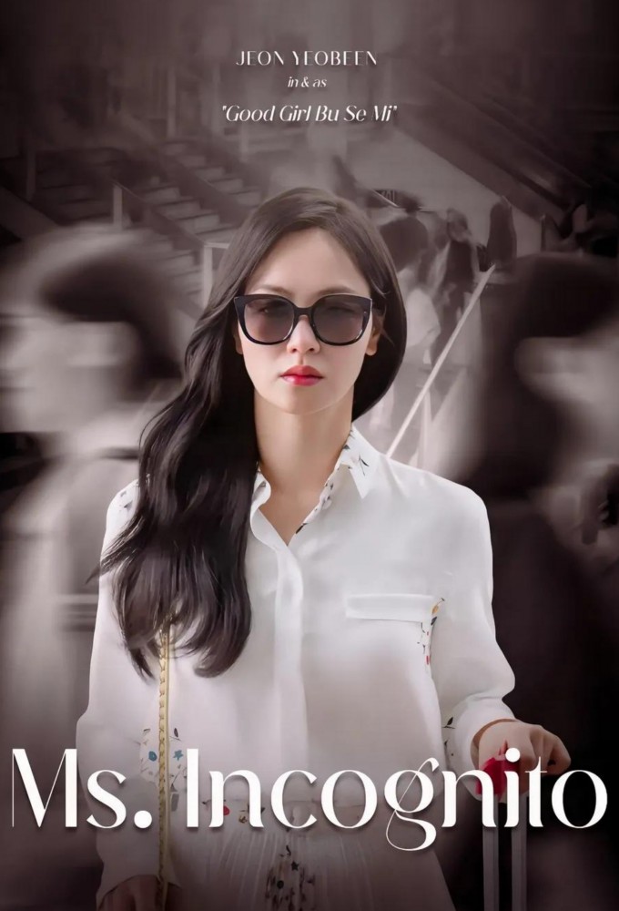 Ms. Incognito series poster