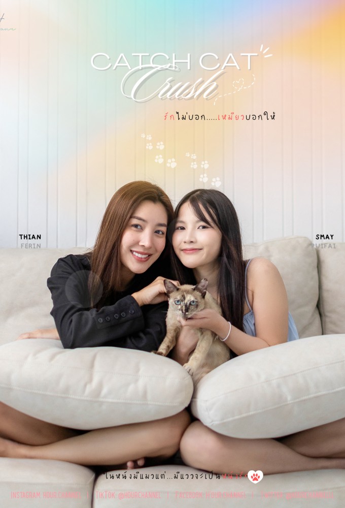 Catch Cat Crush Image