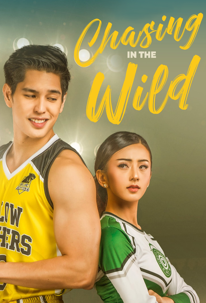 Chasing in the Wild series poster