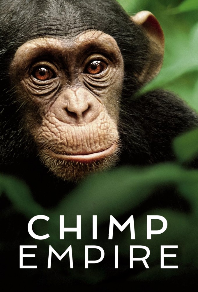 Chimp Empire Image