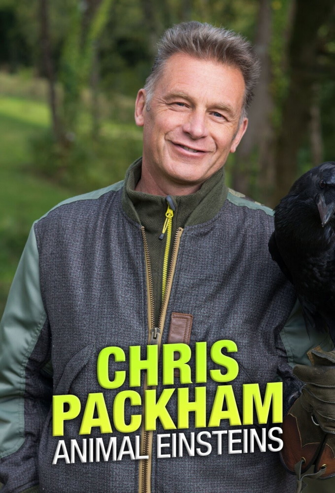 Chris Packham's Animal Einsteins series poster
