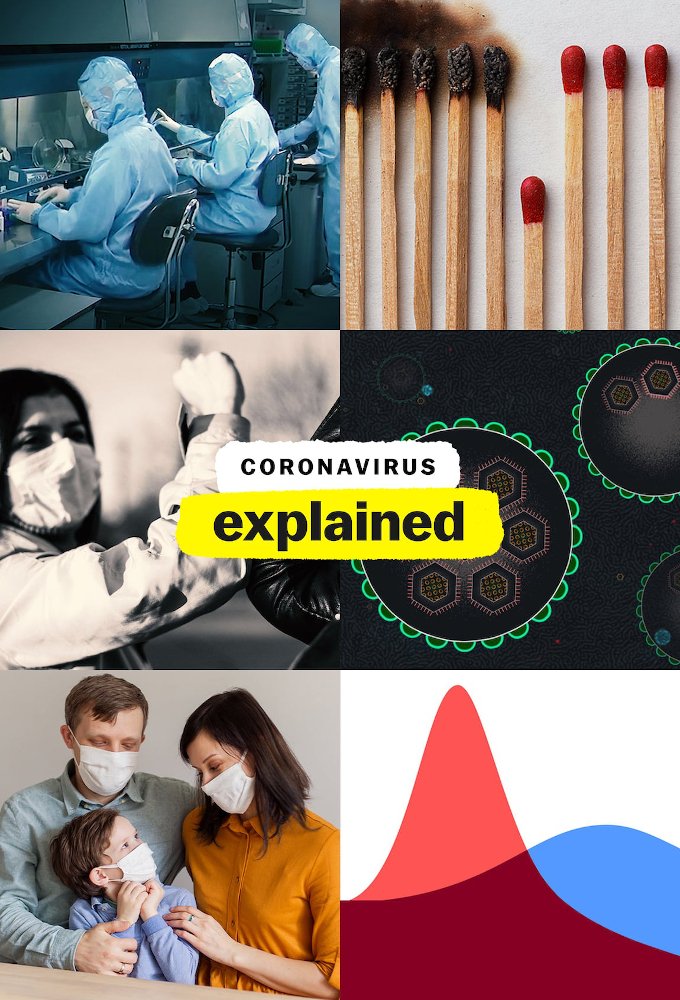 Coronavirus, Explained Image