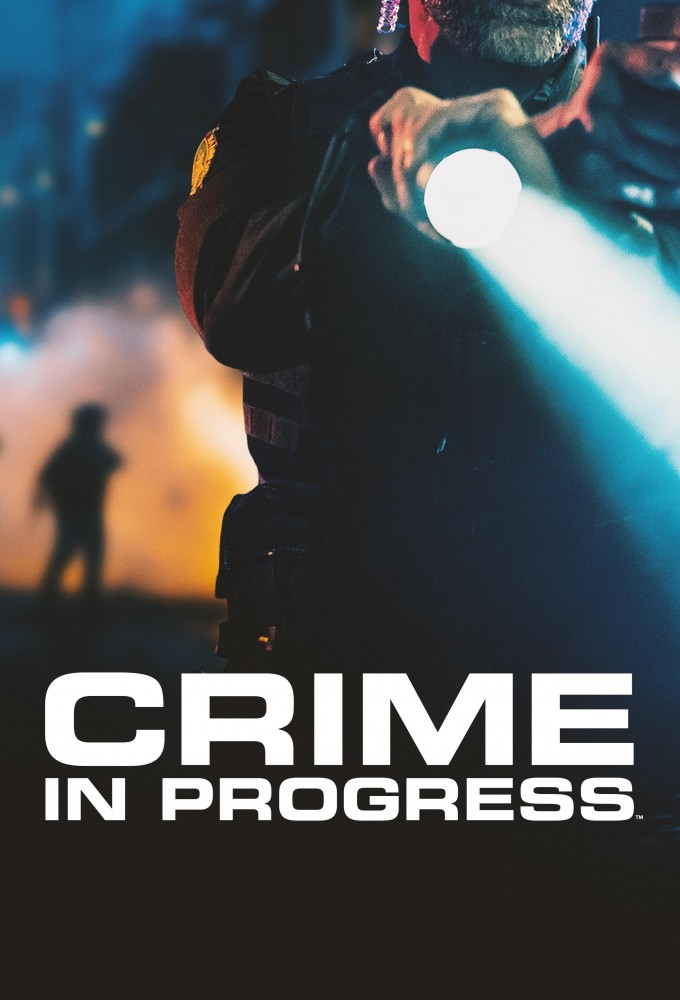 Crime in Progress series poster