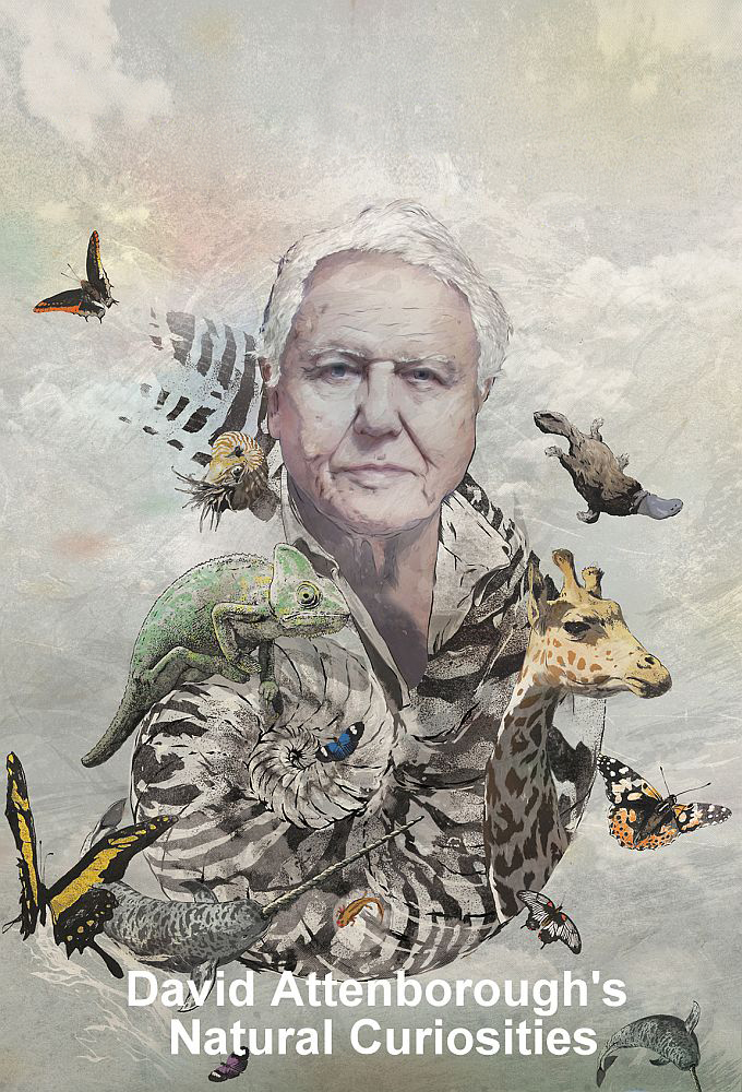 David Attenborough's Natural Curiosities series poster