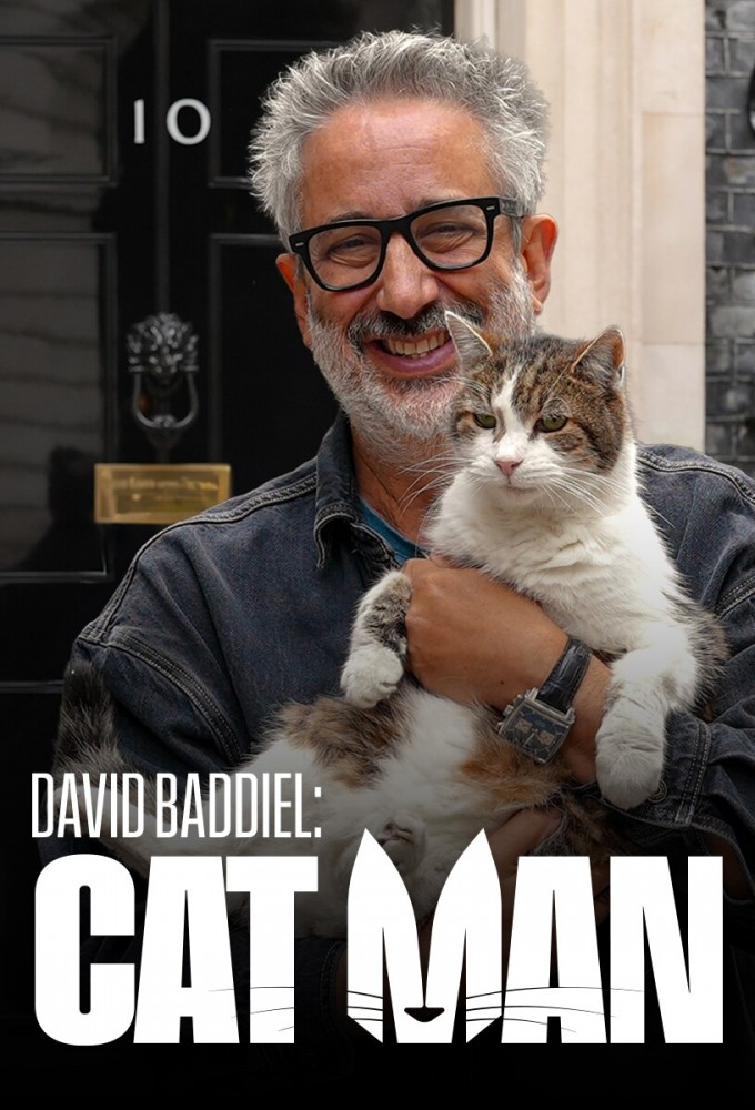 David Baddiel: Cat Man Image