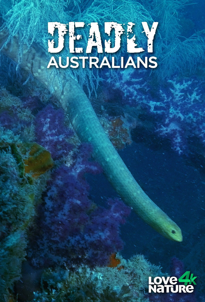 Deadly Australians series poster