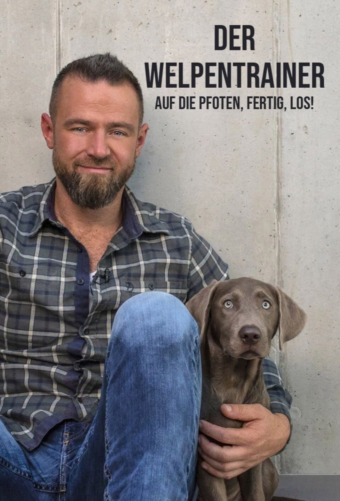 The puppy trainer - on your paws, get set, go! Image