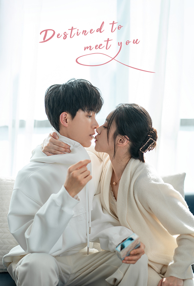 Destined to Meet You series poster