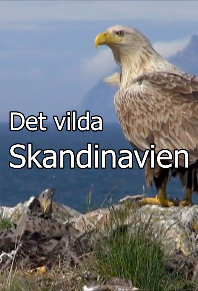 Wild Scandinavia series poster