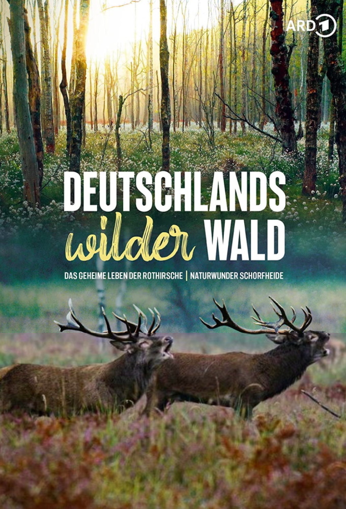 Deutschlands wilder Wald series poster