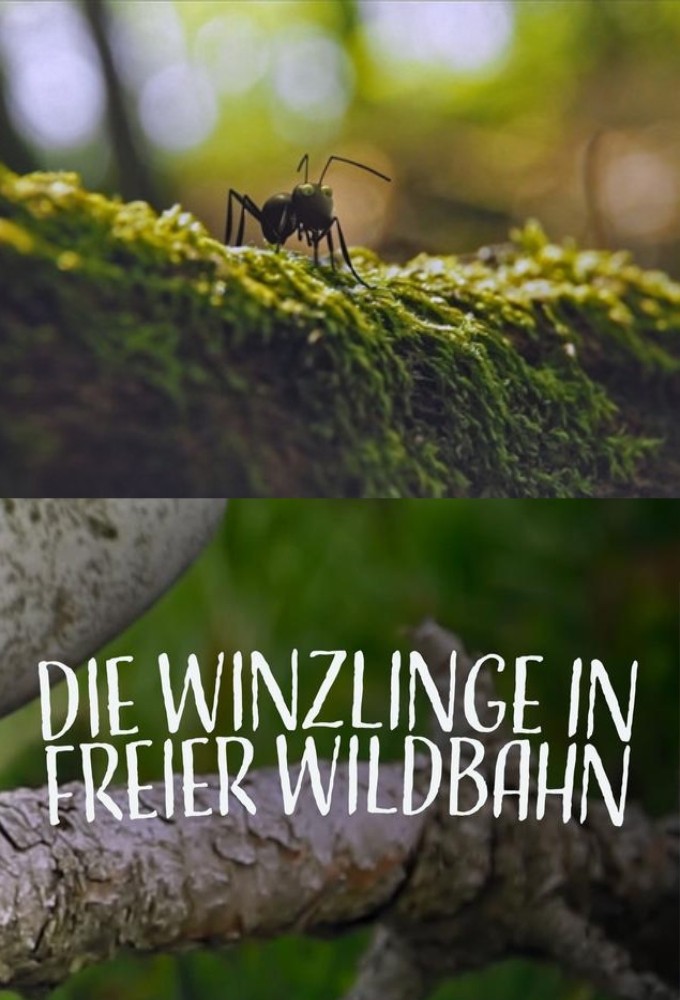 Natural Parks ... in Minuscule Image