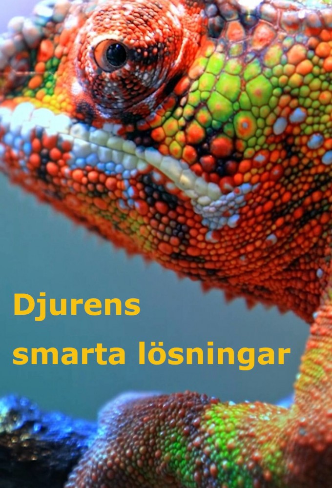 Djurens smarta lösningar series poster