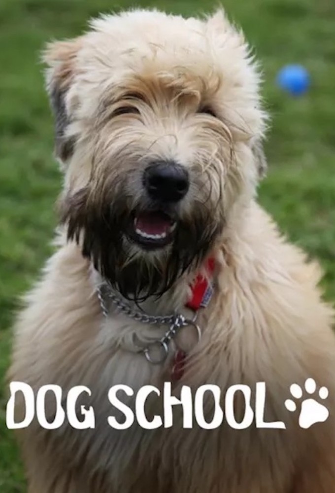 Dog School series poster