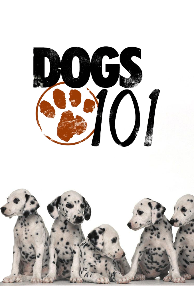 Dogs 101 series poster
