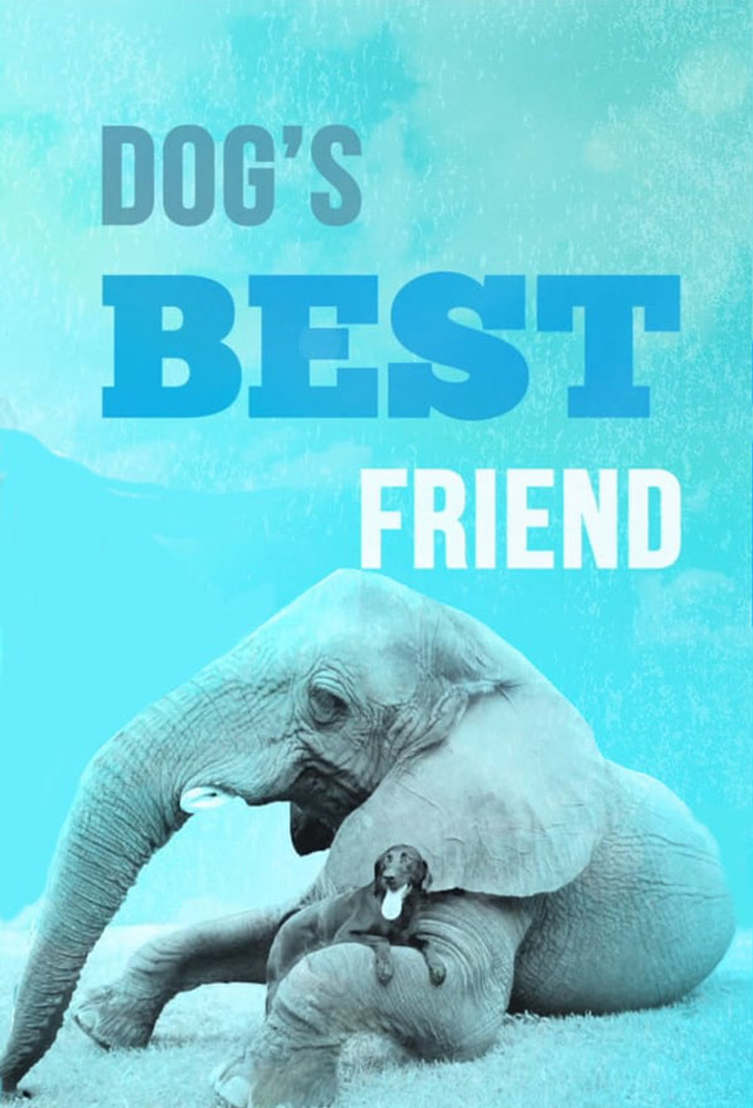 Dog's Best Friend Image