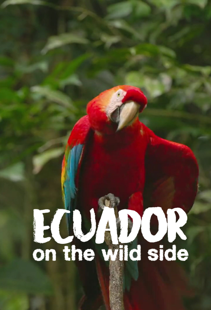 Ecuador: On the Wild Side Image