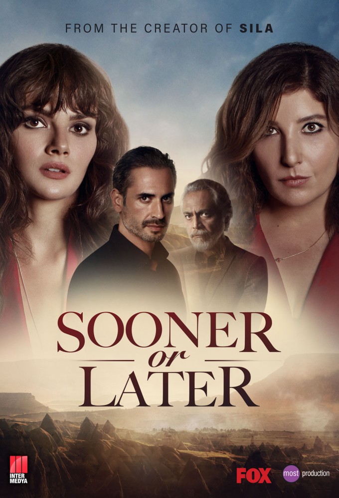 Sooner or Later series poster