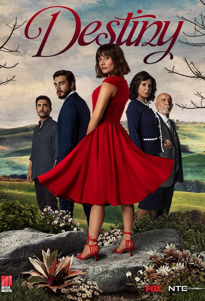 Destiny series poster