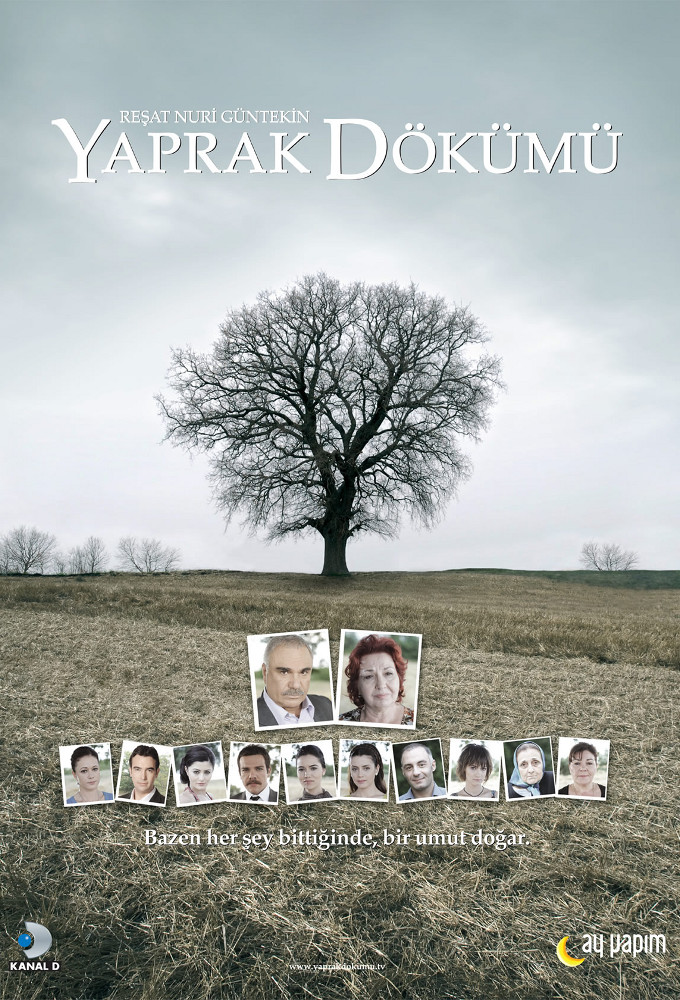 Falling Leaves series poster