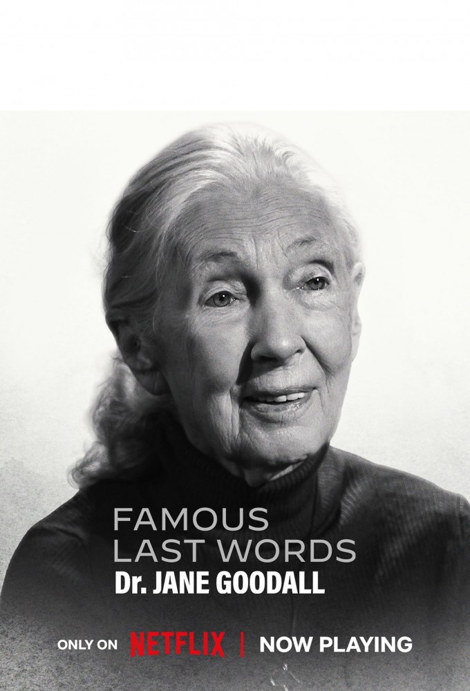 Famous Last Words Image