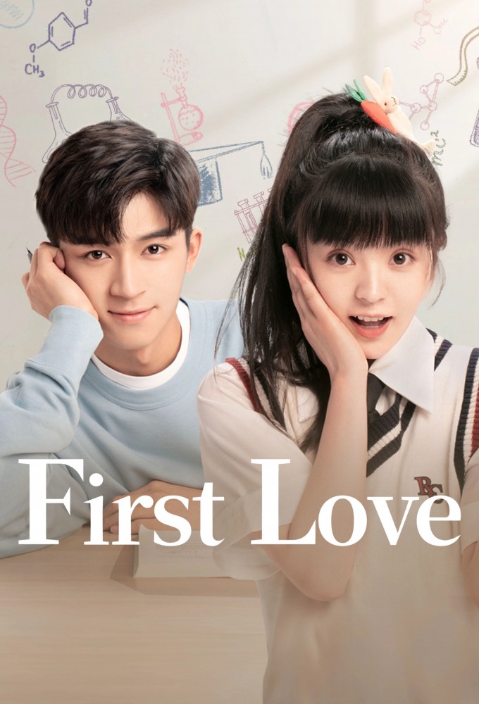 First Love (CN) series poster