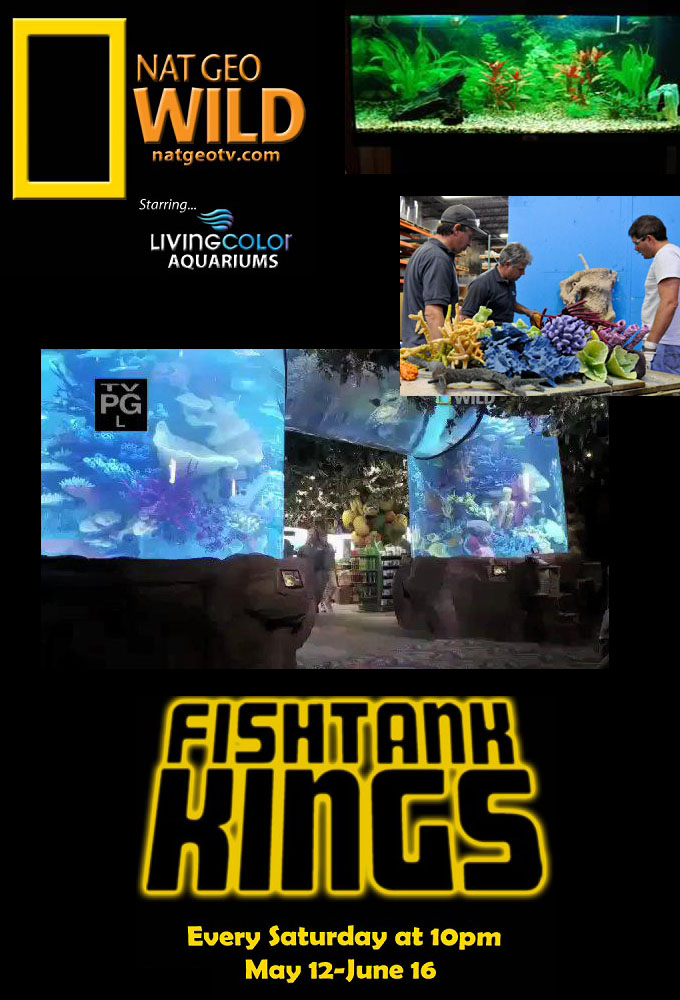 Fish Tank Kings Image